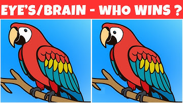 🧠🧩Spot the 3 Differences | Brain-Boosting Puzzles (Bit Tricky) | Trivia | Brain Pin
