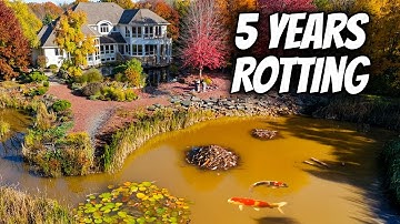 DISGUSTING 5 Years Abandoned Pond... Now It
