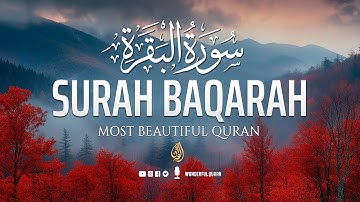বিশ্বের সবচেয়ে সুন্দর সূরা আল বাকারা سورة البقره | অসাধারণ কন্ঠ | #সূরাহবাকারাহ