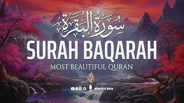 বিশ্বের সবচেয়ে সুন্দর সূরা আল বাকারা سورة البقره | অসাধারণ কন্ঠ | #সূরাহবাকারাহ