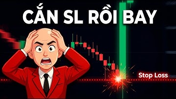 Tại sao bạn luôn bị dừng lỗ ngay trước khi giá chạy đúng hướng?
