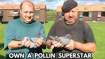 Marc & Geert Pollin : The End of a Dynasty in Pigeon Racing