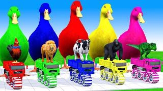 5 Giant Duck Cartoon, Cow, Mammoth, Elephant, Lion, Paint Wild Animals Crossing Fountain Animation