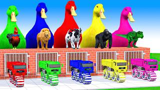 5 Giant Duck Cartoon, Cow, Mammoth, Elephant, Lion, Paint Wild Animals Crossing Fountain Animation