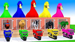 5 Giant Duck Cartoon, Cow, Mammoth, Elephant, Lion, Paint Wild Animals Crossing Fountain Animation