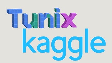 Reinforcement Learning Kaggle Competition with Tunix!