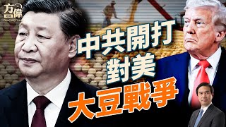 繼稀土之外，中共全面開打對美大豆戰爭；FCC掐斷中企供應鏈，華為中興全被鎖；日本高市早苗上台，日本版川普誕生！#早安美國  #方偉時間 10.08.2025​⁠ ​⁠