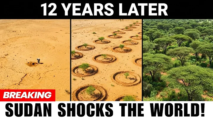 How Sudan Restored Millions of Trees With Simple Farmer Managed Natural Regeneration