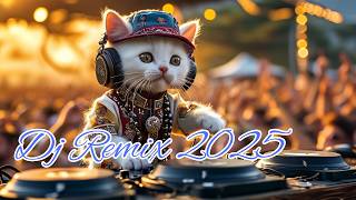 Dj Remix 2024 |dj breakbeat 2024 terbaru  |dj breakbeat 2024  |dj