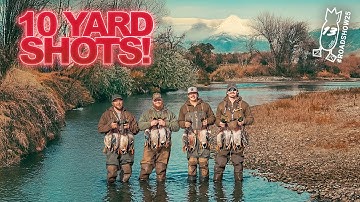 TINY CREEK MALLARDS SO CLOSE!! 10 Yard Shots, Greenheads Only Duck Hunt! | #ROADSHOW25 HUNT 13