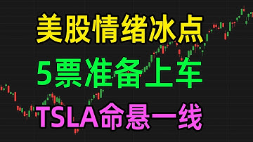 美股情绪冰点，5票准备上车，TSLA危险信号 （1113）
