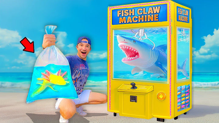 I Bought a Live Fish Claw Machine...