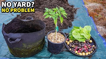 5 Vegetables That GROW BETTER In Pots Than In Ground!