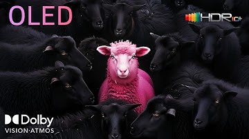 Insane Dolby Vision 4K HDR 2025 | Ultra HD Visual Masterpiece