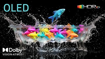 Insane Dolby Vision 4K HDR 2025 | Ultra HD Visual Masterpiece