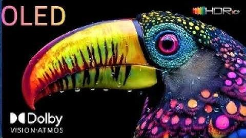 Insane Dolby Vision 4K HDR 2025 | Ultra HD Visual Masterpiece