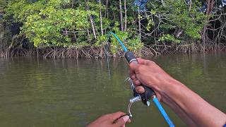 Lucky fishing for white snapper in the river
