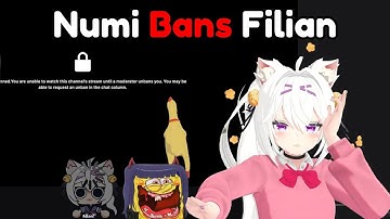Call With Numi Ends Up With Filian Banned