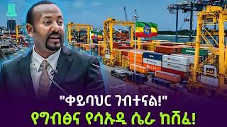 ከቀይ ባህር ጉድ ተሰማ | ግብፅና ሳኡዲ ምን እየዶለቱ ነው? Salon Terek
