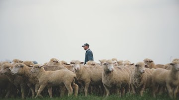 Casestudy Pivot Energy Land Stewardship | Volledige video