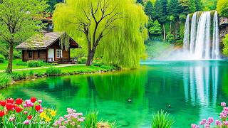 NERVOUS SYSTEM RESTORATION 🌿 Soft music calms the nervous system and cheers the soul #7
