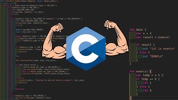 I made the best programming language in C