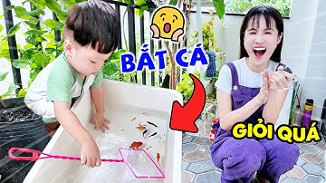 CẦM 200K MUA CÁ CẢNH CHO ZINO | CÁ 7 MÀU, MOLLY, BETTA - VÊ VÊ CHANNEL