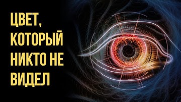 Самый загадочный цвет в мире — Почему мы его НЕ видим? Тайны тетрахроматов и невидимого зрения!