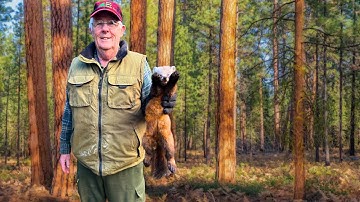 Donnie on the Pine Marten Trap Line!