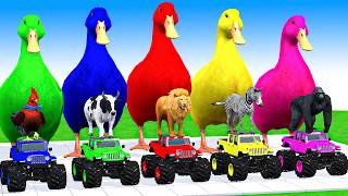 5 Giant Duck Cartoon, Cow, Mammoth, Elephant, Lion, Paint Wild Animals Crossing Fountain Animation