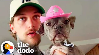 Watch This Senior Frenchie Get Loved Back To Life | The Dodo