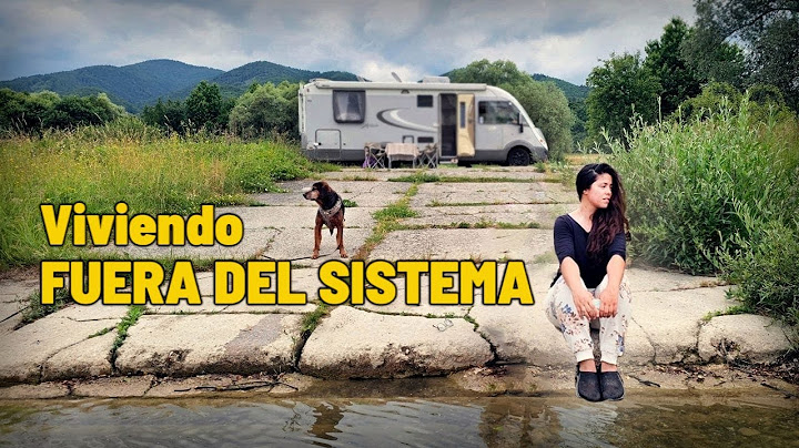 24 horas de Van Life Real: Minimalismo y Libertad
