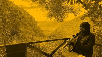 Flute Music Meditation for People Who Forget They Deserve Peace and Joy | 1 Hour