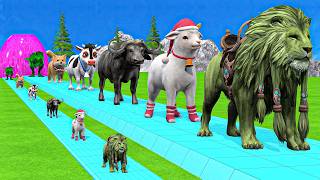 Paint & Animals Cow,Gorilla,Elephant,Lion,Tiger,Dinosaur, Fountain Crossing Transformation Cartoon