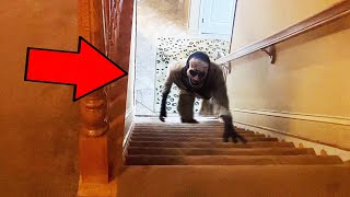 Top 8 SCARY Ghost Videos That Are Ridiculously Creepy