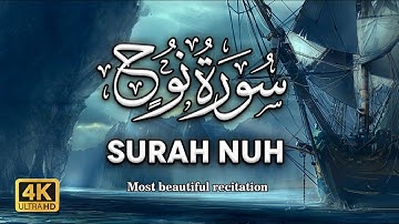 Most beautiful recitation of Surah Nuh (Noah) سورة نوح | Soft Voice | 4K