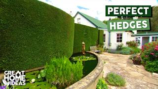 Making A House Look $1,000,000 With Hedges! | Full Episode | Great Home Ideas