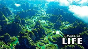 Earth's Secret Gardens: The Cradle of All Living Things