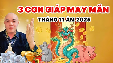 3 Con Giáp May Mắn Nhất Tháng 11 Âm 2025 – Cơ Hội ĐỔI VẬN Cuối Năm | Mật Mã Cuộc Đời