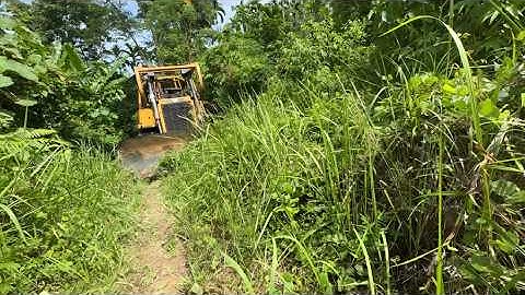CAT D6R XL Bulldozer Operator Clears Plantation Road in Minutes - Must Watch
