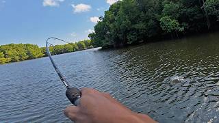 Fishing Luck: Catching a Snapper the Size of a Pillow