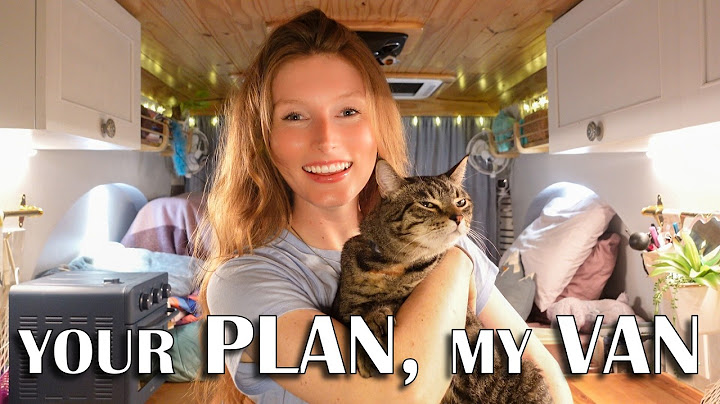 Letting You Decide My Day | VANLIFE Vlog with my CAT