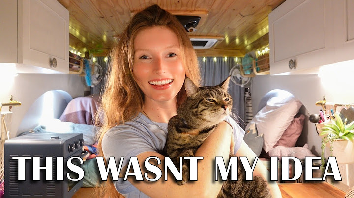 Letting You Decide My Day | VANLIFE Vlog with my CAT