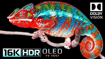 Mind-Blowing HDR Performance | Dolby Vision 16K Video ULTRA HD (120 FPS)