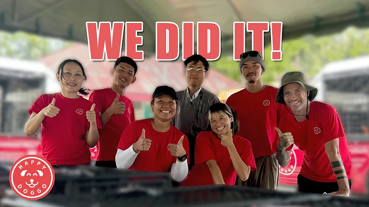 A Huge Step Forward in helping street dogs and it’s all with down to you!