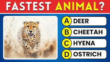 Only Sharp Minds Can Score 50/100 🤯 Take This General Knowledge Quiz Challenge! 🧠