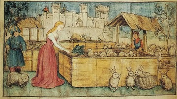 All About the Art of Rabbit Keeping in the Medieval World