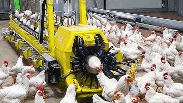 150 Most Satisfying Factory Machines and Ingenious Tools!