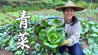 Vegetable buns are even more delicious than meat buns!