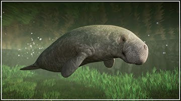 Is this the BEST MODDED ZOO in Planet Zoo? Congo Zoo Full Tour